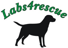 Labs4rescue logo