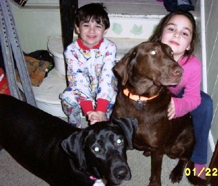 Kids Love Foster Dogs