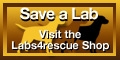 Save a Lab - Visit the Labs4rescue Shop