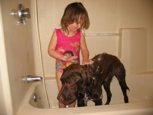 Bath time for Max #23