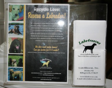 Sample poster and brochure display